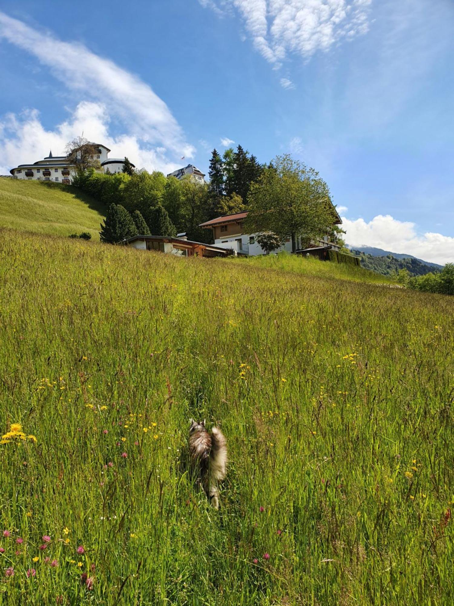 Pension Schlossberg มิทเทอร์ซิลล์ ภายนอก รูปภาพ