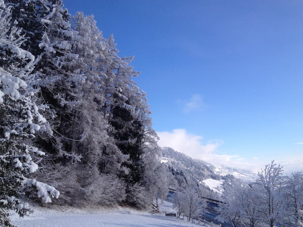 Pension Schlossberg มิทเทอร์ซิลล์ ภายนอก รูปภาพ
