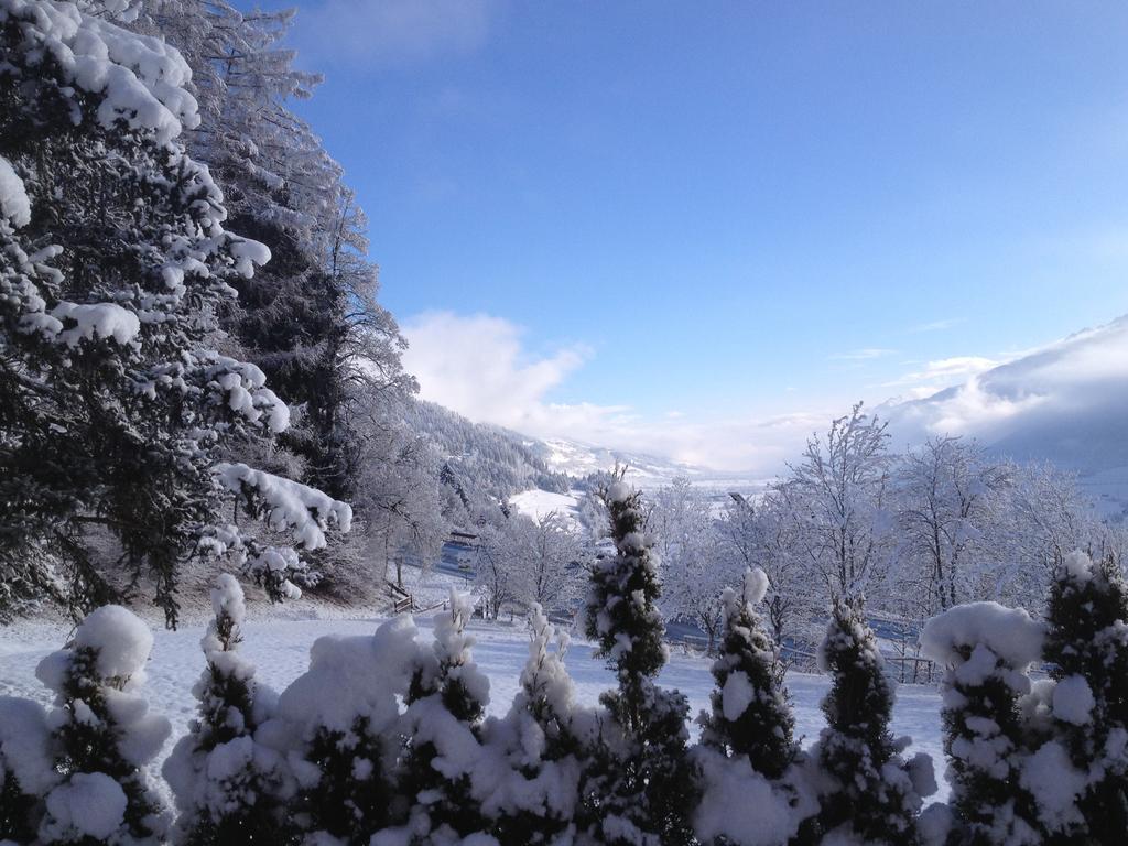 Pension Schlossberg มิทเทอร์ซิลล์ ภายนอก รูปภาพ